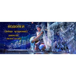 ЧАША ВОДОЛЕЙ
