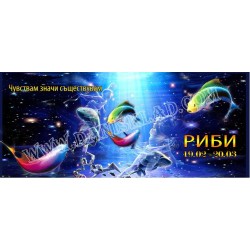 ЧАША РИБИ
