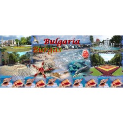ЧАША БУРГАС