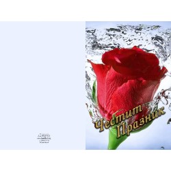 КАРТИЧКА ДВОЙНА