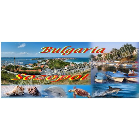 МАГНИТ СОЗОПОЛ