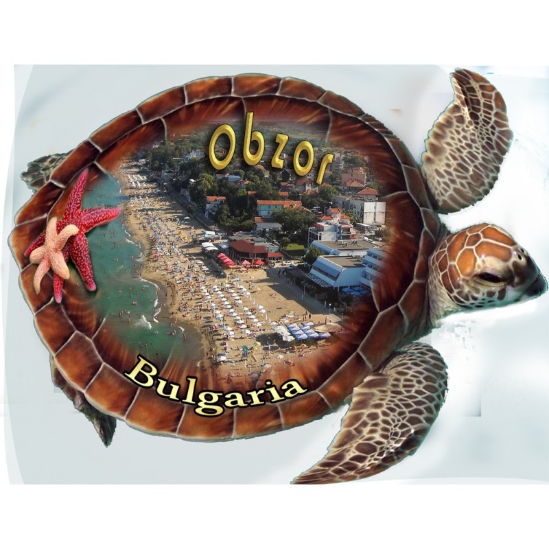 ОБЗОР