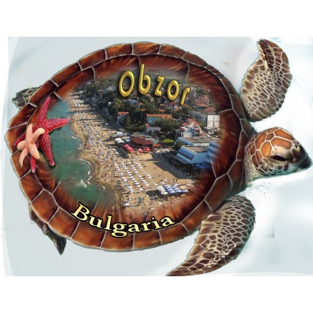 ОБЗОР