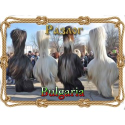 МАГНИТ РАЗЛОГ