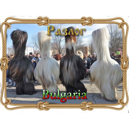 МАГНИТ РАЗЛОГ