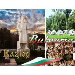МАГНИТ РАЗЛОГ