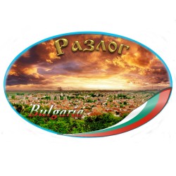 МАГНИТ РАЗЛОГ