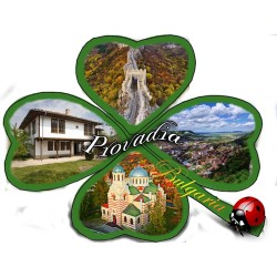 МАГНИТ ПРОВАДИЯ