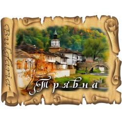 МАГНИТ ТРЯВНА