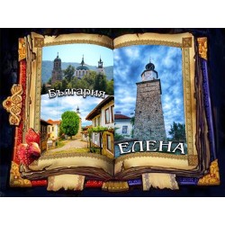 МАГНИТ ЕЛЕНА