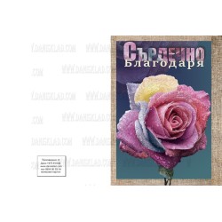 КАРТИЧКИ МИНИ