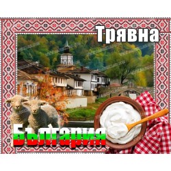 МАГНИТ ТРЯВНА