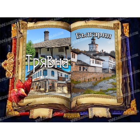 МАГНИТ ТРЯВНА