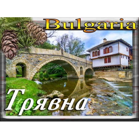 МАГНИТ ТРЯВНА