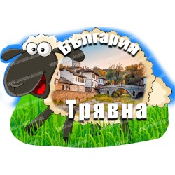 МАГНИТ ТРЯВНА