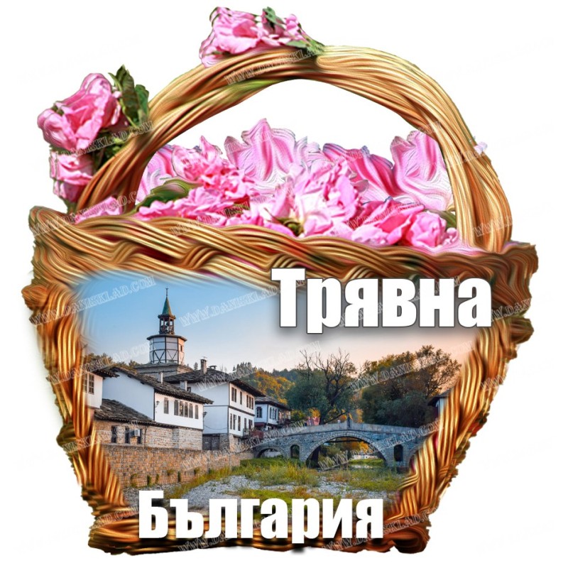 МАГНИТ ТРЯВНА