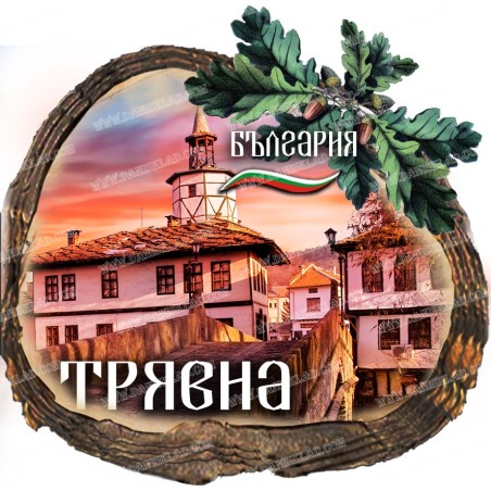 МАГНИТ ТРЯВНА