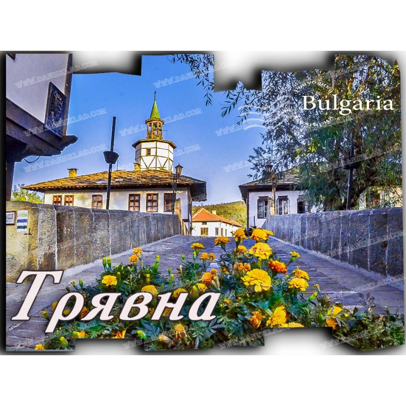 МАГНИТ ТРЯВНА