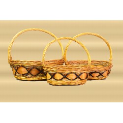 КОШНИЦИ 3 КА ЕЛИПСА