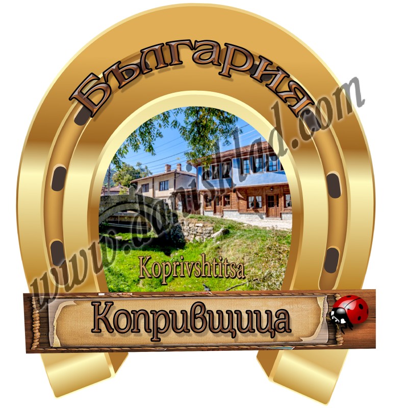 МАГНИТ КОПРИВЩИЦА