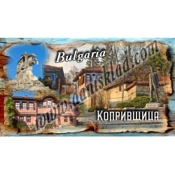 МАГНИТ КОПРИВЩИЦА