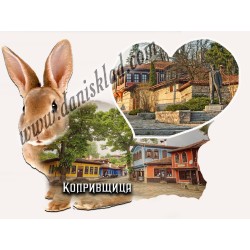 МАГНИТ КОПРИВЩИЦА
