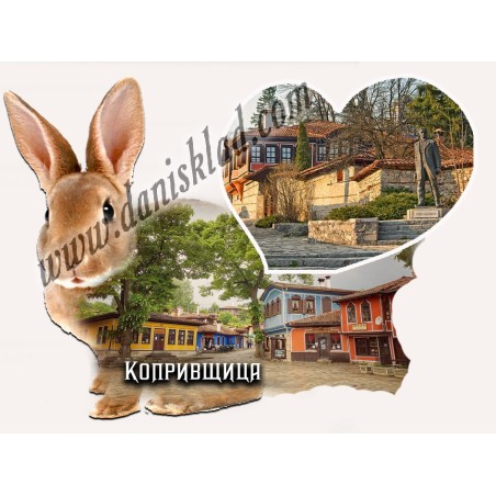 МАГНИТ КОПРИВЩИЦА