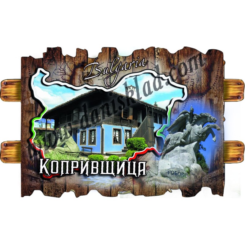 МАГНИТ КОПРИВЩИЦА